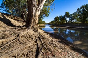 Drought Approaches