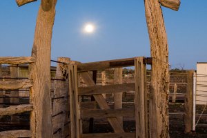 Sturt National Park Mount Wood Moon