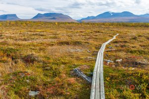 Lapporten Boardwalk