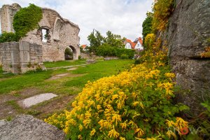 Visby Gotland