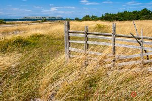 Gotland tradition fence