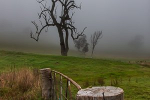 Morning Mist at Gadds Bend, Upper Murray