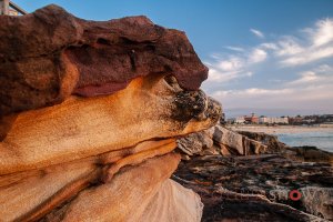 Sandstone Rocks