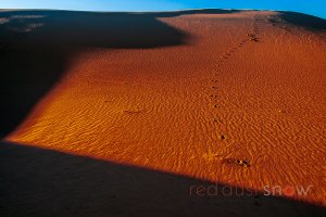 Sand Tracks