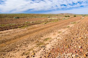 Sturt National Park Mt Wood Road