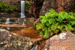 Wentworth Falls #02