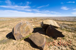 Sturt National Park Boulder Plain