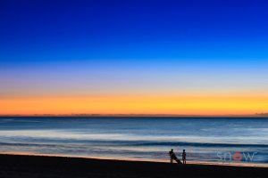 Morning Surf Manly Beach