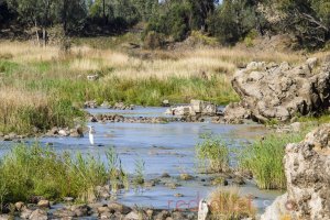 Brewarrina Fish Traps Darling River Outback NSW