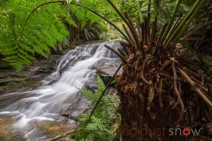 Blue Mountains - Sydney NSW