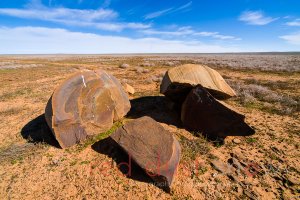 Sturt National Park Boulder Plain