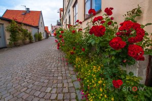 Visby Gotland